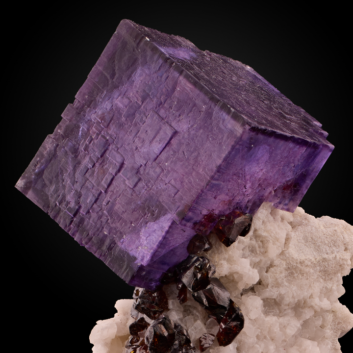 Shops Elmwood Purple Fluorite